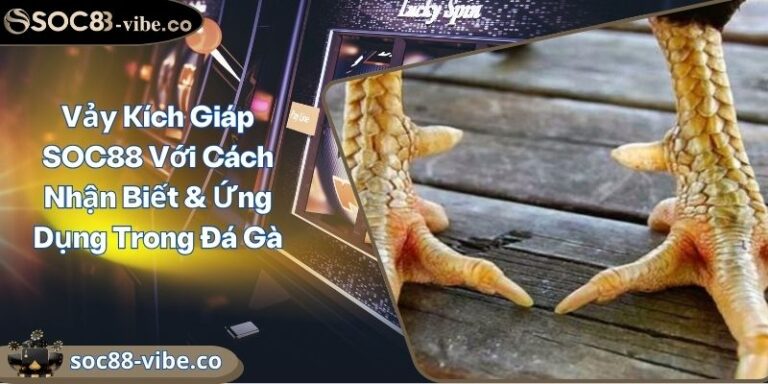 Vảy Kích Giáp SOC88 Với Cách Nhận Biết & Ứng Dụng Trong Đá Gà 1 Vảy Kích Giáp SOC88 Với Cách Nhận Biết & Ứng Dụng Trong Đá Gà
